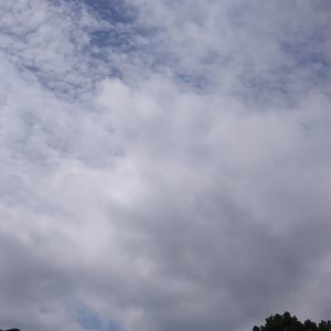 Meet your Posher, Earl